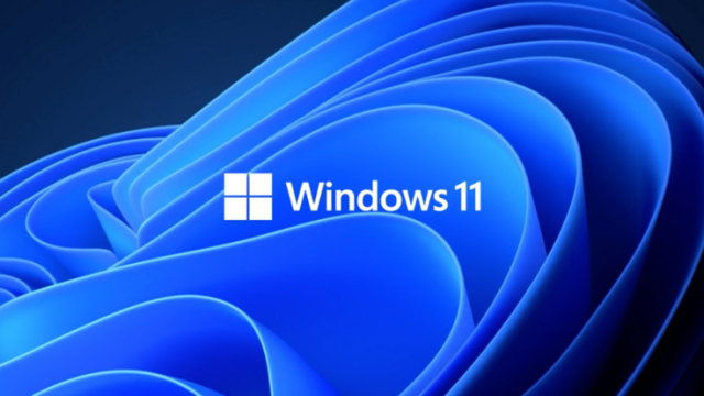 Windows 11